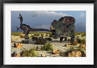 Framed Protoceratops Biting a Velociraptor
