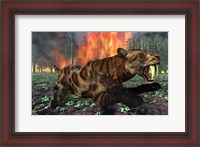 Framed Saber Toothed Tiger Running from Fire