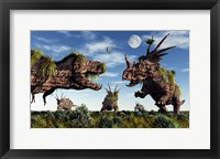 Framed Styracosaurus and Tyrannosaurus Rex