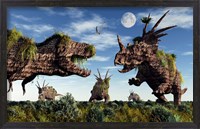 Framed Styracosaurus and Tyrannosaurus Rex