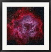 Framed Rosette Nebula