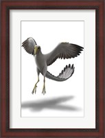 Framed Archaeopteryx