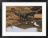 Framed Apatosaurus Dinosaurs