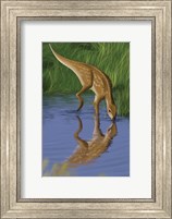 Framed Hypsilophodon
