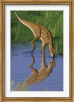 Framed Hypsilophodon