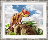 Framed Leptoceratops