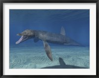 Framed Pliosaurus Kevani