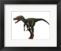 Framed Proceratosaurus Dinosaur