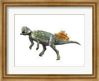 Framed Psittacosaurus Lujiatunensi