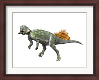 Framed Psittacosaurus Lujiatunensi