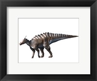 Framed Saurolophus Dinosaur