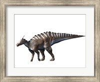 Framed Saurolophus Dinosaur