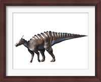 Framed Saurolophus Dinosaur