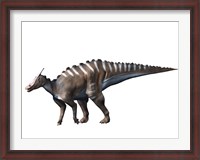 Framed Saurolophus Dinosaur