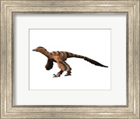 Framed Sinornithosaurus Dinosaur