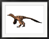 Framed Sinornithosaurus Dinosaur