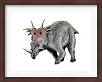 Framed Styracosaurus Dinosaur