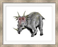 Framed Styracosaurus Dinosaur