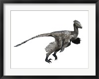 Framed Troodon Dinosaur