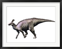 Framed Tsintaosaurus Dinosaur