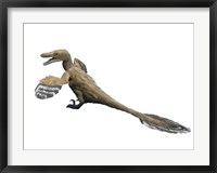 Framed Velociraptor Mongoliensis