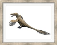 Framed Velociraptor Mongoliensis