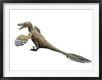 Velociraptor Mongoliensis Framed Print