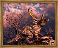 Framed Diabloceratops