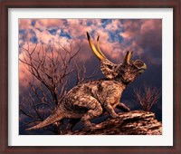 Framed Diabloceratops