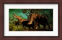 Framed Platybelodon