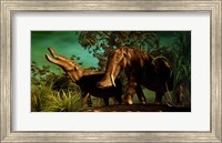 Framed Platybelodon