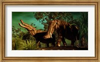 Framed Platybelodon