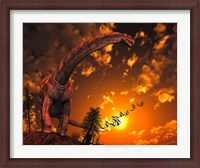 Framed Argentinosaurus
