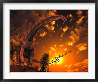 Framed Argentinosaurus