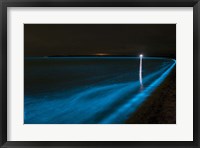 Framed Bioluminescence in Waves in the Gippsland Lakes