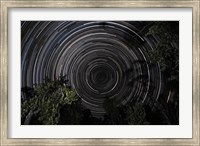 Framed Southern Sky Star Trails