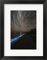 Framed Star Trails over Bioluminescence