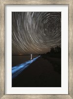 Framed Star Trails over Bioluminescence