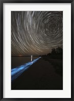 Framed Star Trails over Bioluminescence