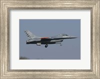 Framed F-16C Fighting Falcon of the Italian Air Force