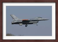 Framed F-16C Fighting Falcon of the Italian Air Force