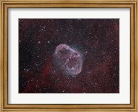 Framed NGC 6888, the Crescent Nebula