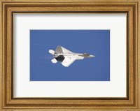 Framed F-22 Raptor