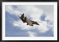 Framed F-15 Eagle