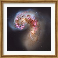 Framed Antennae Galaxies