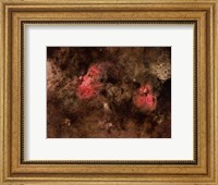 Framed Eagle Nebula and Swan Nebula