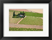 Framed Spain, Granada Crops of the Andalusia Valley