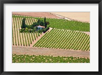 Framed Spain, Granada Crops of the Andalusia Valley