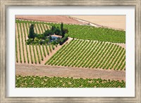 Framed Spain, Granada Crops of the Andalusia Valley