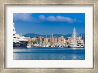 Framed Palma de Mallorca harbor, Majorca, Balearic Islands, Spain